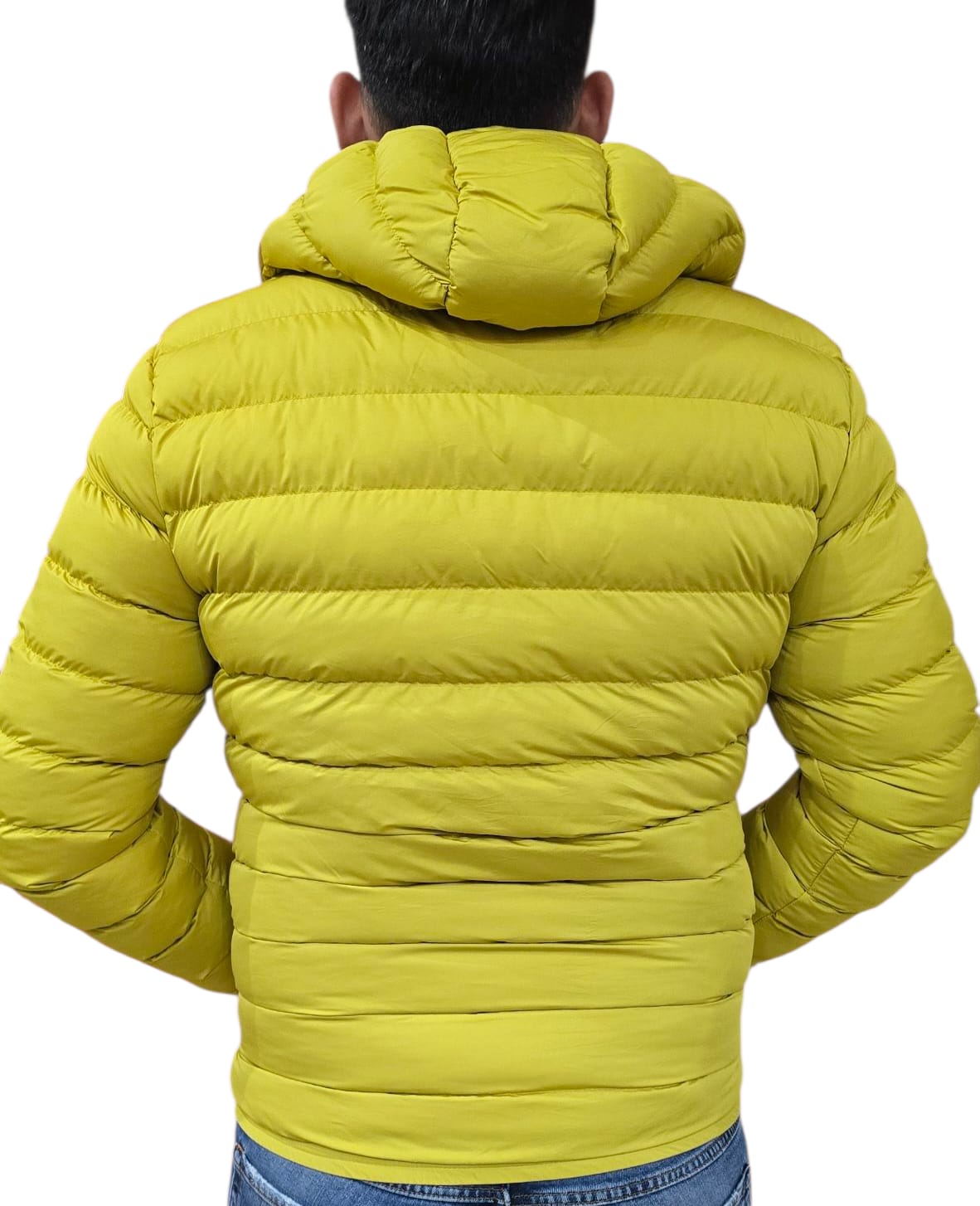 Piumino ARMATA DI MARE GIALLO