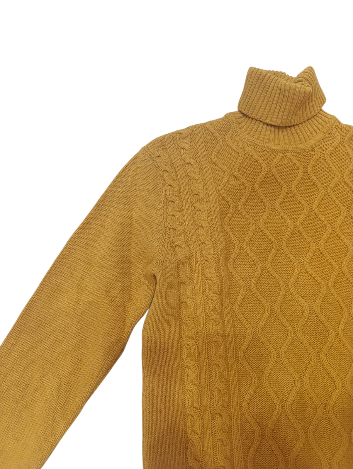 Maglione US POLO ASSN in dolcevita